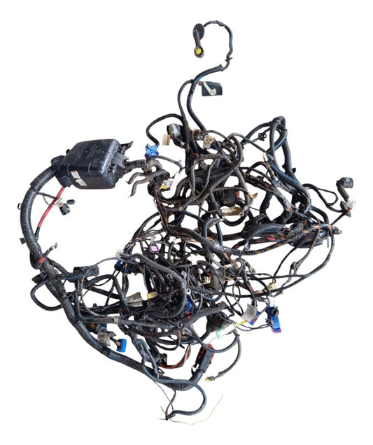 Chicote Completo Fiat Palio 2017