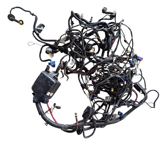 Chicote Completo Fiat Palio 2017